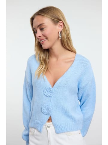 trendyol Cardigan in Hellblau