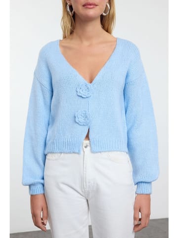 trendyol Cardigan in Hellblau