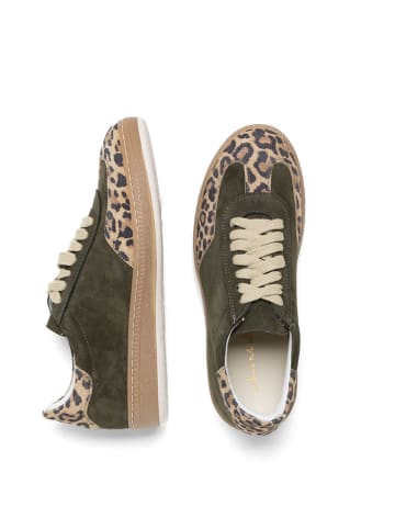 Anna Morellini Leder-Sneakers "Doreca" in Khaki/ Beige