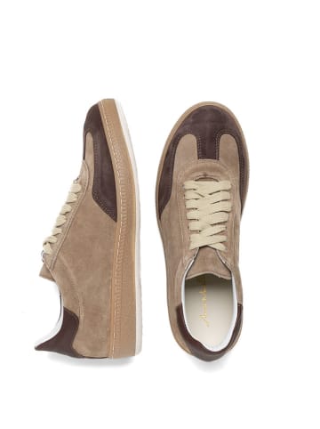 Anna Morellini Leder-Sneakers "Irafia" in Hellbraun/ Braun