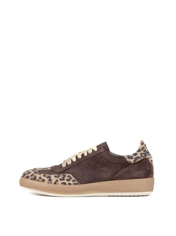 Anna Morellini Leder-Sneakers "Catina" in Braun/ Beige