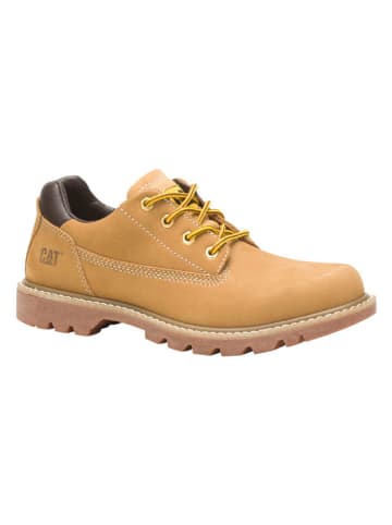 CAT Leder-Schnürschuhe "Colorado Low 2.0" in Hellbraun