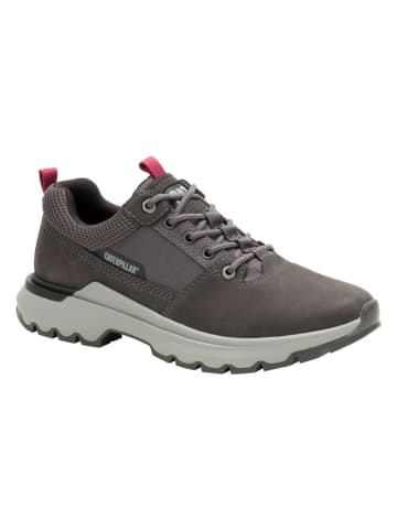 CAT Leder-Sneakers "Colorado" in Grau