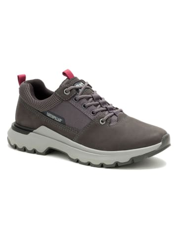 CAT Leder-Sneakers "Colorado" in Grau
