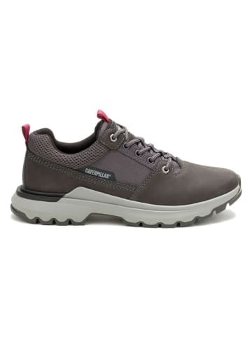 CAT Leder-Sneakers "Colorado" in Grau