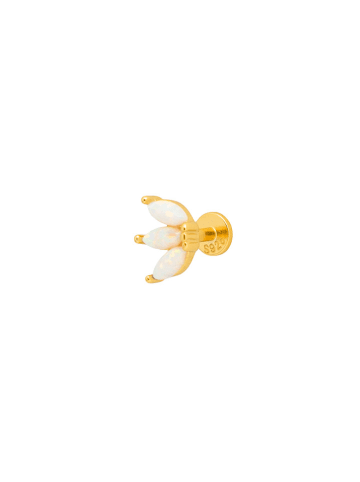 Ania Kruk Vergold. Piercing mit Edelsteinen