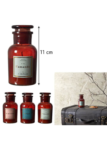 THE HOME DECO FACTORY Duftkerze in Orange - 90 g (Überraschungsprodukt)