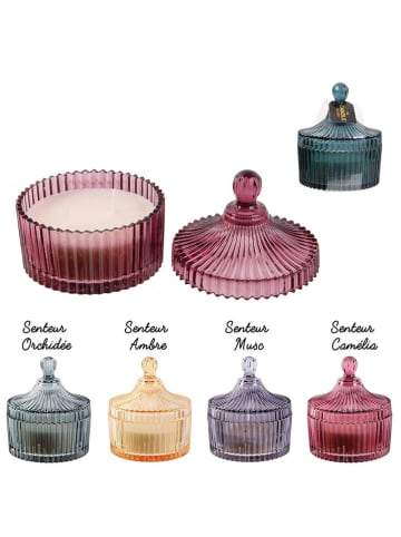 The Concept Factory Geurbrander meerkleurig - 562 g (verrassingsproduct)