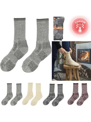 The Concept Factory Socken in Grau/ Braun/ Beige (Überraschungsprodukt) 