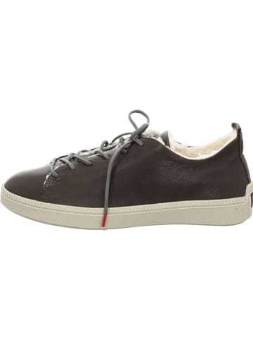 Think! Leder-Sneakers in Braun