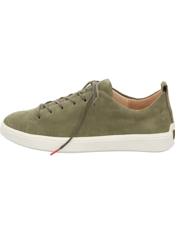 Think! Leder-Sneakers in Khaki