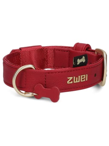 Zwei Halsband in Rot - (L)38 cm