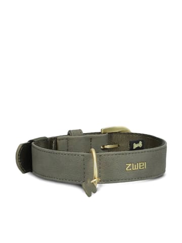 Zwei Halsband in Khaki - (L)50 cm
