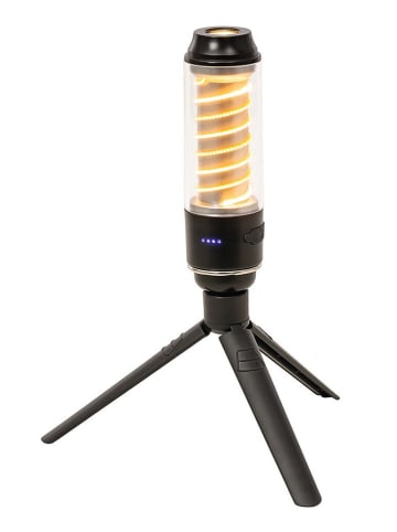 moses. Allroundlicht "Expedition Nature" - vanaf 6 jaar