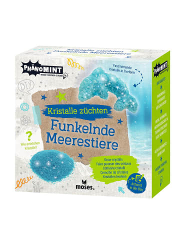 moses. Experimenteerset "Het fokken van zeedieren" - vanaf 8 jaar