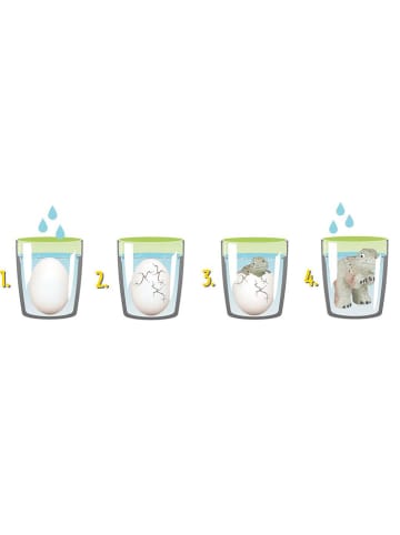 moses. 2-delige set: experimenteerset "Dino's in Ei" - vanaf 6 jaar (verrassingsset)