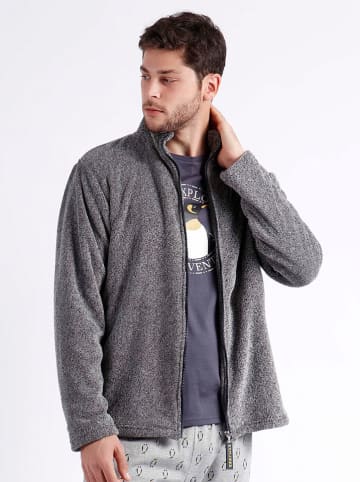 admas Teddyjas grijs