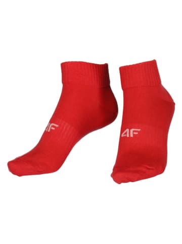 4F 3-delige set: sokken meerkleurig