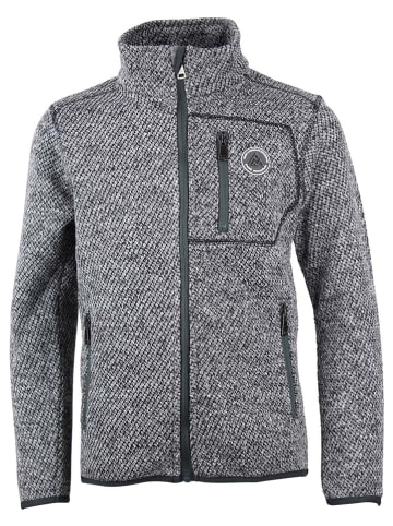 Peak Mountain Fleecejacke in Grau