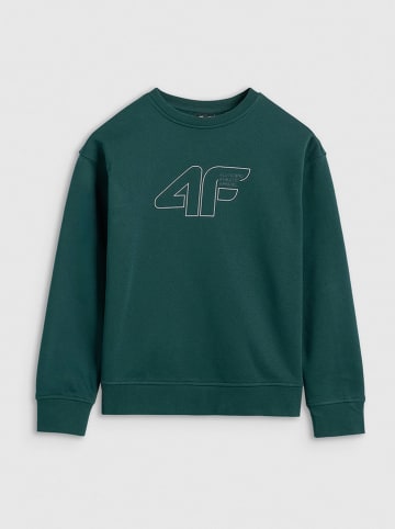 4F Sweatshirt in Grün