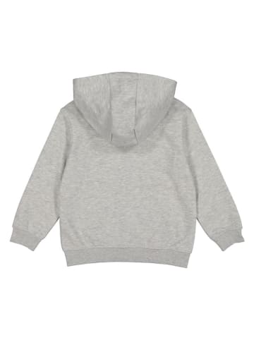 4F Bluza w kolorze szarym