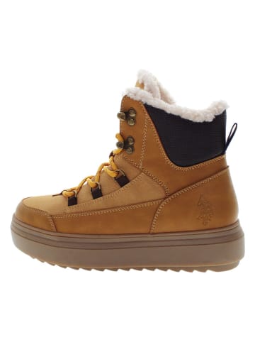 U.S. Polo Assn. Boots in Hellbraun