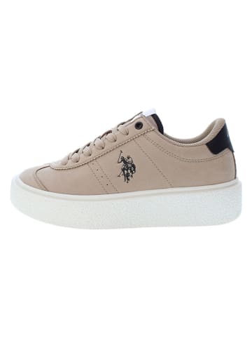 U.S. Polo Assn. Sneakers "Jody" in Beige