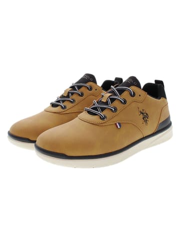 U.S. Polo Assn. Sneakers lichtbruin
