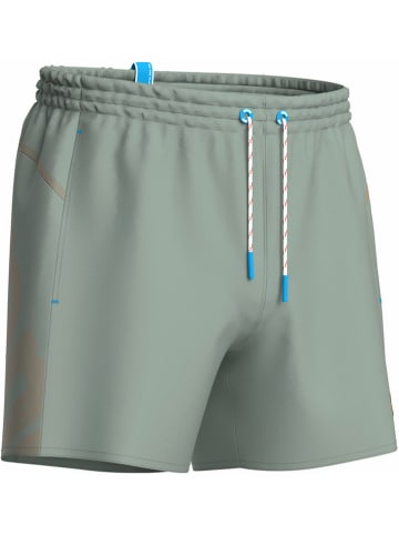 Arena Badeshorts in Grau