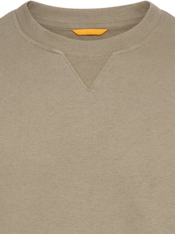 Camel Active Sweatshirt in Beige