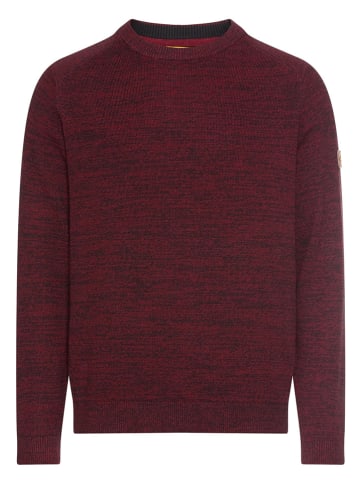 Camel Active Pullover in Bordeaux