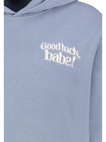 Sublevel Hoodie lichtblauw