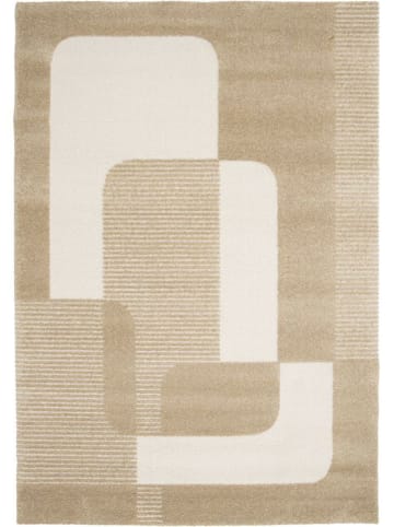 bobochic Kurzflor-Teppich "Clotaire" in Braun