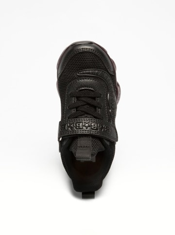 Bull Boys Sneakers "Dinosaur" in Schwarz