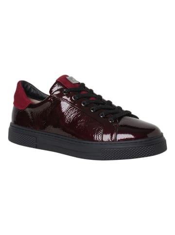 HASSIA Skórzane sneakersy "Asti" w kolorze czerwonym