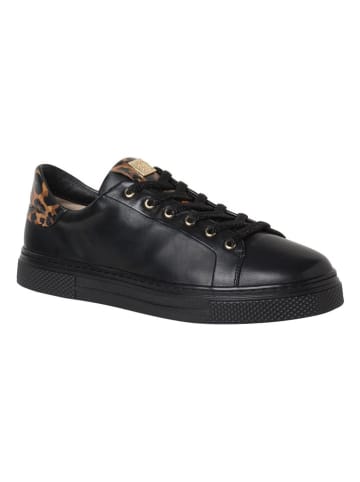 HASSIA Leder-Sneakers "Asti" in Schwarz