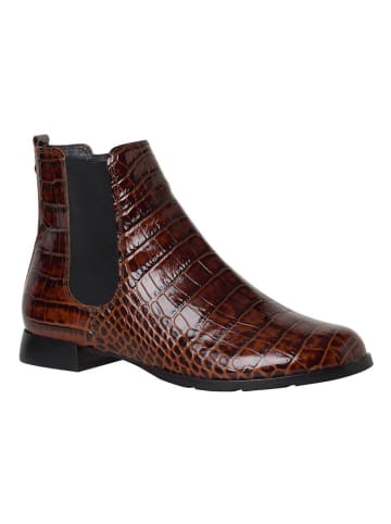 HASSIA Leder-Chelsea-Boots "Madeira" in Braun