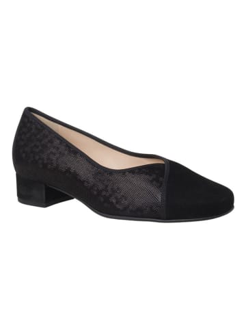 HASSIA Leder-Ballerinas "Cordoba" in Schwarz