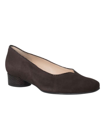 HASSIA Leder-Ballerinas "Roma" in Braun