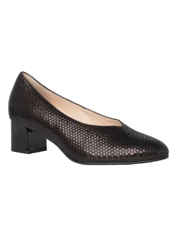 HASSIA Pumps "Capri" in Braun