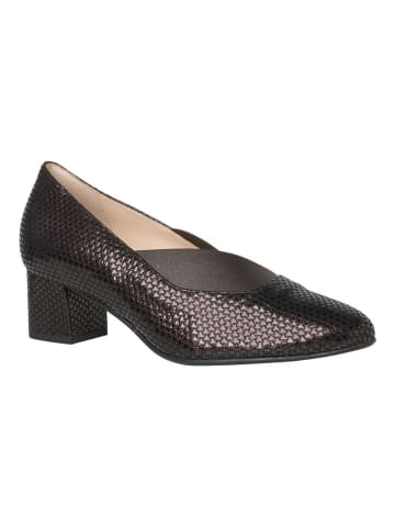 HASSIA Pumps "Capri" in Braun