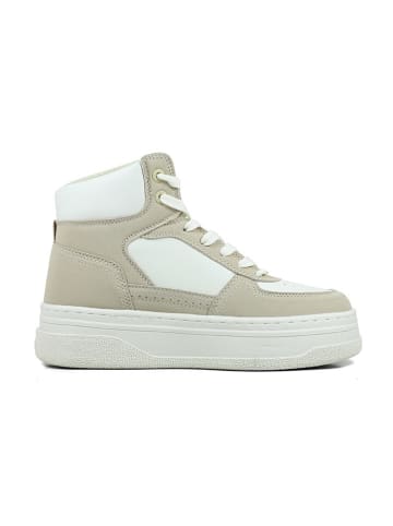 GAP Sneakers "Paradise Mid II Bsc" in Beige/ Weiß