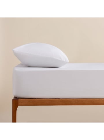 Pierre Cardin Perkal-Spannbettlaken in Weiß