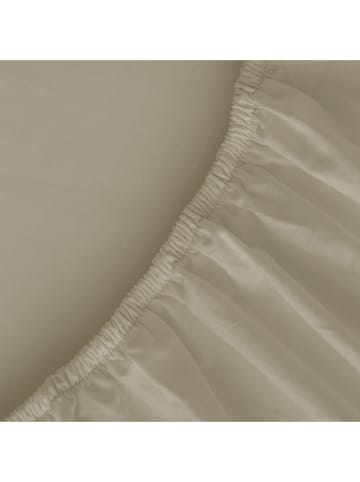 Pierre Cardin Perkal-Spannbettlaken in Khaki