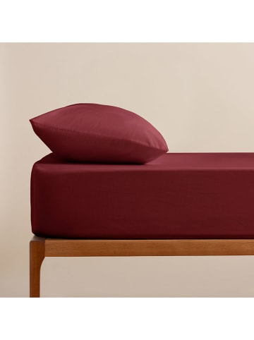 Pierre Cardin Perkal hoeslaken paars