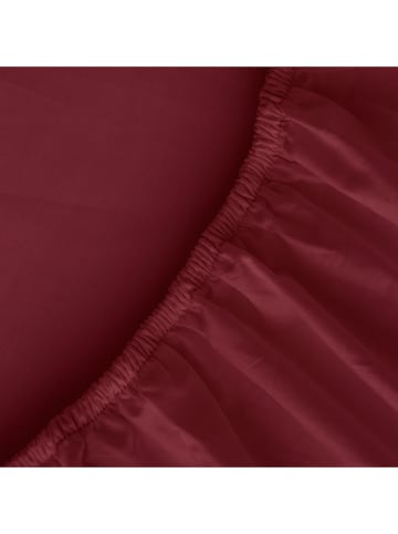 Pierre Cardin Perkal-Spannbettlaken in Lila