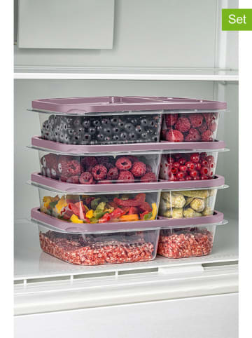 Violeta Home 4-delige set: voorraadcontainers paars - (B)24 x (H)15 x (D)5 cm