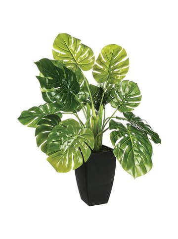 WellHome Kunstpflanze in Grün - (B)67 x (H)70 x (T)55 cm