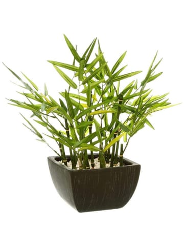 WellHome Sztuczna roślina w kolorze zielonym - wys. 35 x Ø 33 cm