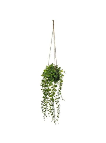 WellHome Kunstpflanze in Grün - (H)38 x Ø 10,5 cm